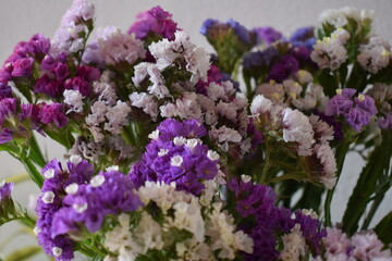 Obraz premium flowers 