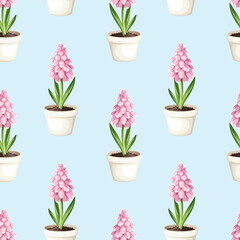 Seamless pattern with pink hyacinth flowers in white flowerpots on a blue background. Vector illustration