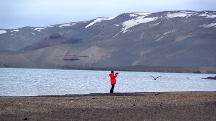 Expedition cruise ship passenger taking photos on the beach on Deception Island, South Shetland...