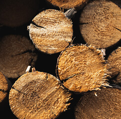 pattern of firewood for the firebox, background of chopped logs