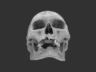 Old skull with broken teeth - low angle front view - 3D Illustration