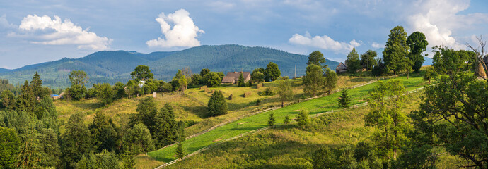 Picturesque summer Carpathian mountain countryside, Ukraine. © wildman