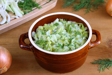 Stewed young cabbage sprinkled with chopped dill. Spring vegetable dishes. Vegetarian cooking