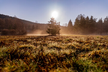 Sunset over a wetland, meadow with morning mist and autumn light. Misty fall landscape with marshes.