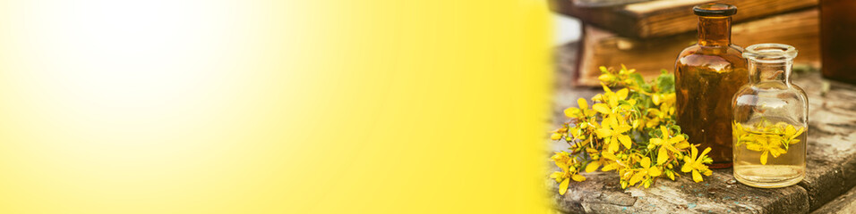 Banner Hypericum perforatum, St. John's wort apothecary bottles with tincture and essential oils...