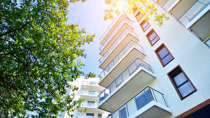 Eco architecture. Green tree and apartment building. The harmony of nature and modernity.