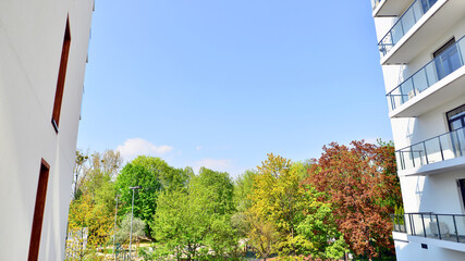 Eco architecture. Green tree and apartment building. The harmony of nature and modernity.