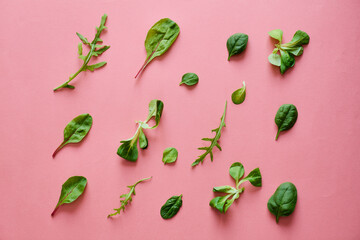 Fresh abstract green salad on isolated blue and pink background.