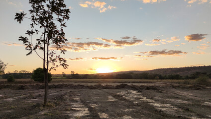 Lindo por do sol, entre árvores, visto na região da represa de Três Marias, Minas Gerais, Brasil.