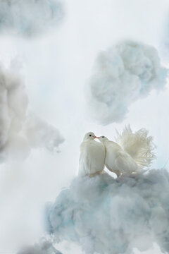 a white pigeon and a dove sit on a cloud end kiss against the background of artificial sky and clouds. creative art composition. High quality photo
