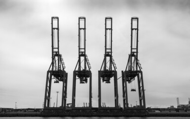 Four harbor cranes in the port of Hamburg