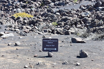 Maui Hawaii stay on trail endangered species sign