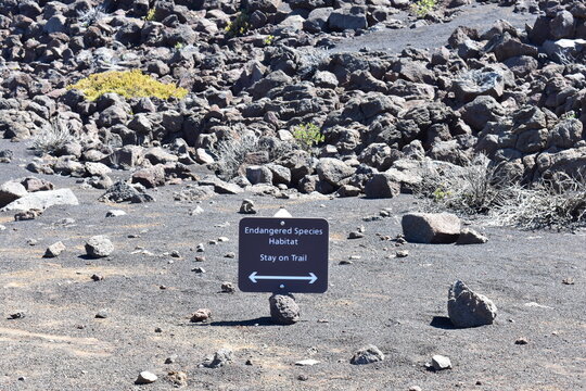 Maui Hawaii Stay On Trail Endangered Species Sign