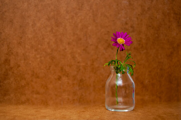 flowers in a glass vase