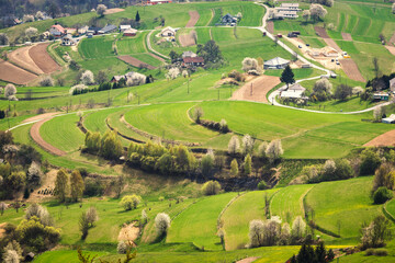 Spring rural landscape motif. Flowering fruit trees, fields and grassy meadows in the hilly countryside. The Hrinova village in Slovakia, Europe.