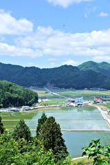 Fototapete bei efototapeten.de bestellen   