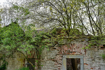 Fototapeta premium Schloss, Wirtschaftsgebäude, eingestürzt, Mauer, Außenmauer, Ruine, Ziegel, Verputz, verwuchert, verwildert, aufgelassen, Lost Place, Urban Exploring, Urbex, Imposant, Ziegel, Ziegelstein, Fenster, Fe