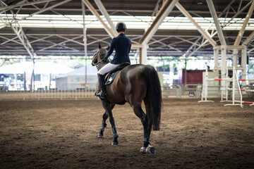 Horses