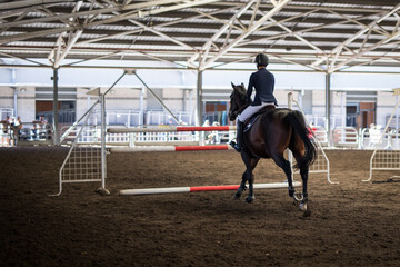 Horses