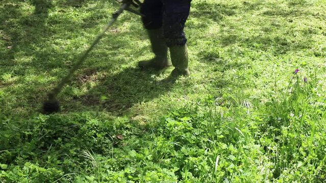Hombre desbrozando malas hierbas en el campo