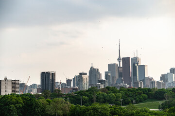 Fototapeta premium Toronto city skyline at sunset