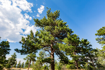 Sunny view of the landscape around Panorama Point