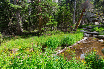 Superb river landscape in Rocky Mountain National Park