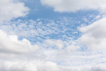 Ciel. Cirrocumulus cotonneux, entourés de cumulus, et ciel bleu en après-midi au printemps