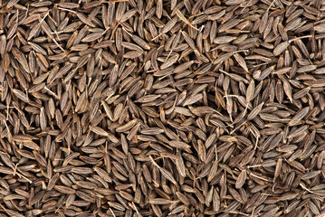 Dry seeds of cumin and cumin on the background. Close-up of cumin spice.