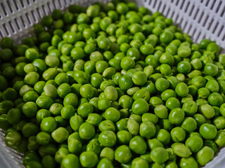 fresh green peas for cooking