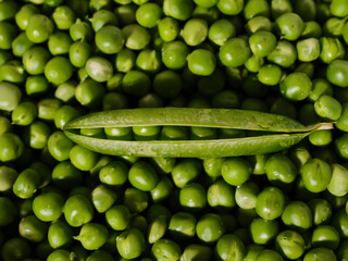 fresh green peas for cooking