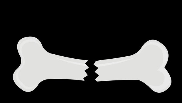 Loop animation of a bone breaking on a transparent background