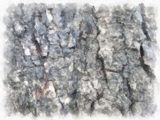 bark on tree watercolor style illustration impressionist painting.