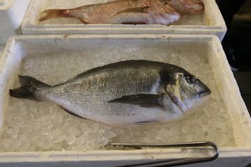Fresh fish on ice for sale at the Central Municipal Market (called the Varvakeios), Athens, Greece