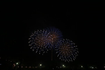 初夏の夜空を彩る花火