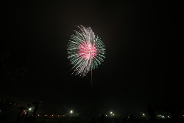 初夏の夜空を彩る花火