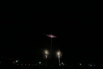 初夏の夜空を彩る花火