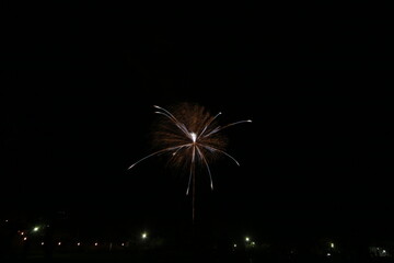 初夏の夜空を彩る花火