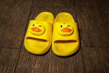 Duck slippers