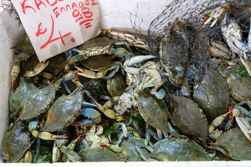 Fresh Blue Crab for sale at Varvakeios Market (Central Municipal Market), Athens, Greece