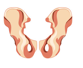 Skeleton hip bone os coxae, innominate, pelvic coxal bone Human back view. Set of Anatomically correct 3D realistic flat natural color concept. Vector illustration of anatomy isolated white background