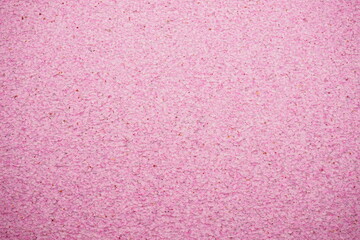 Pink Cherry Blossom Petal Carpet or Hanaikada on the Pond Moat of Hirosaki Castle in Aomori, Japan - 日本 青森 弘前城 お濠 桜の花 花筏