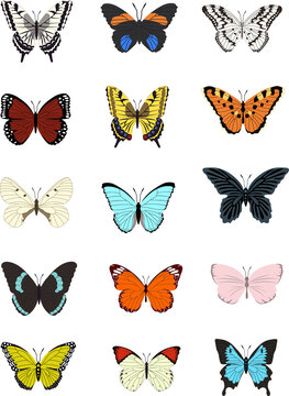 Collection of multicolored butterflies. Vector illustration © Dysenkart