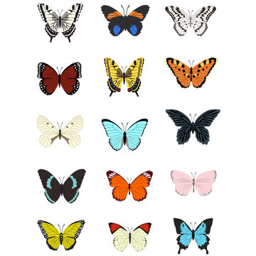 Collection of multicolored butterflies. Vector illustration © Dysenkart