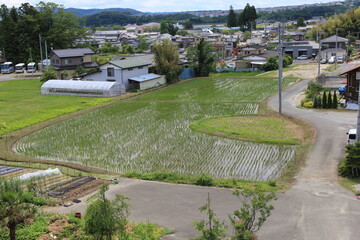 小規模な水田がある住宅地の風景