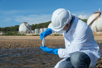 Researchers, scientists in protective clothing use water for analysis fish from polluted rivers.