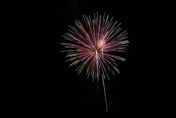 Fireworks in the Night Sky