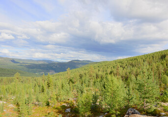 Fototapeta na wymiar View of a mountain valley in Norway. Sunny summer day, blue sky with clouds, green pine forest