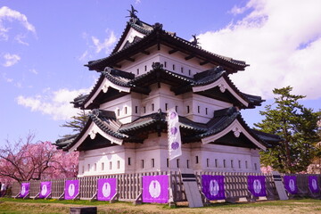 Hirosaki Castle surrounded by Pink Sakura or Cherry Blossom in Aomori, Japan - 日本 青森...