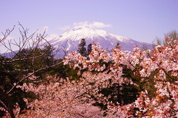 日本 青森県 弘前 弘前城 岩木山
